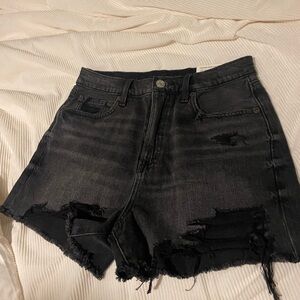 American eagle distressed brand new shorts